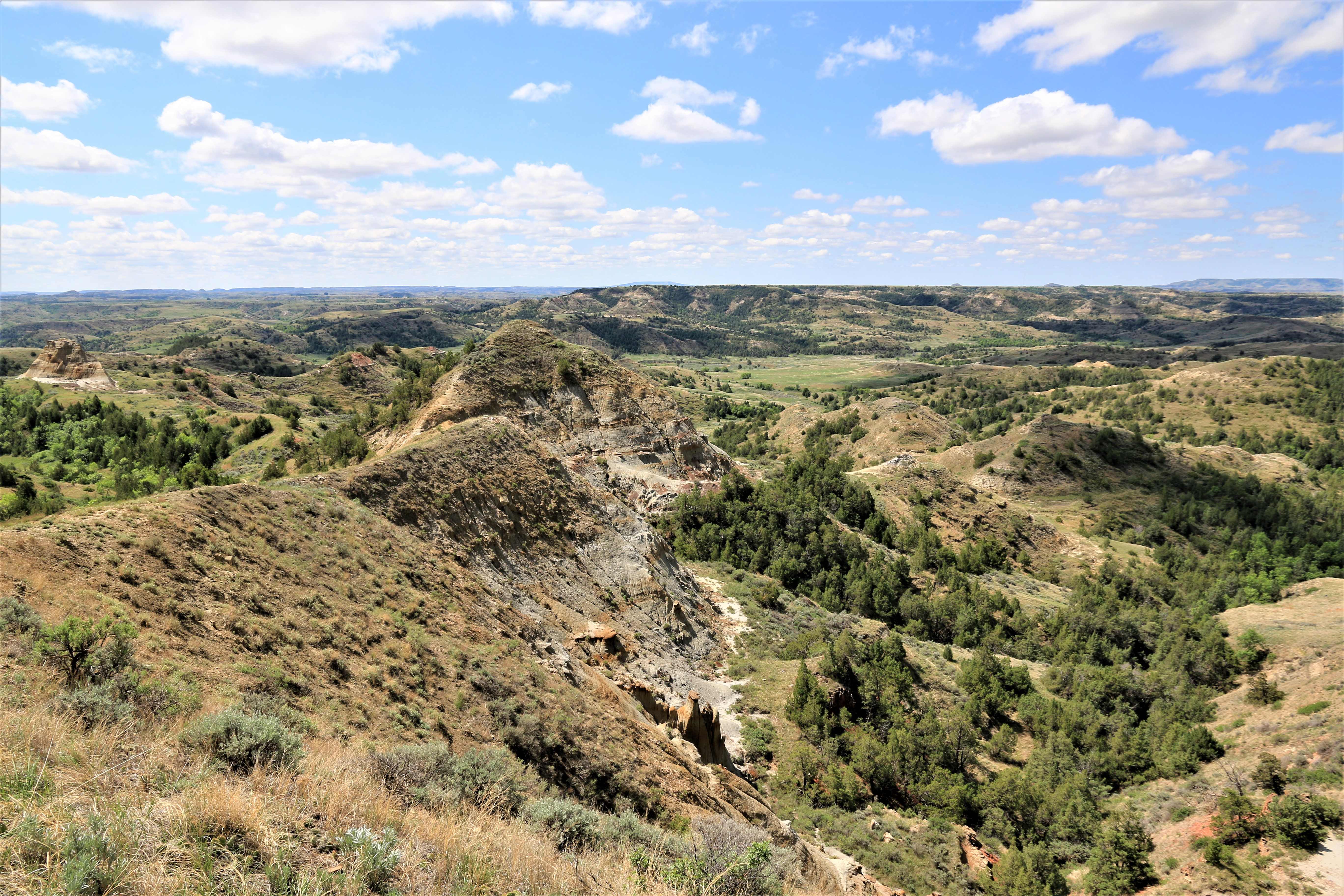 Theodore Roosevelt NP